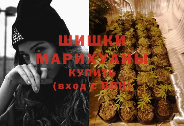 СК Осинники