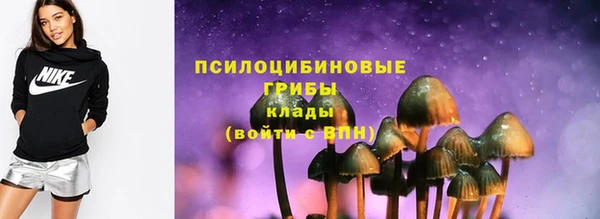 apvp Остров