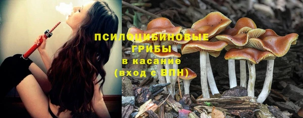 прущий лед Нязепетровск