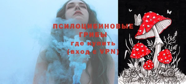 СК Осинники
