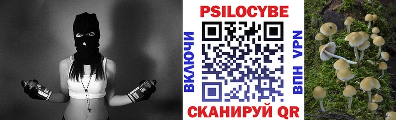 где продают   Касли  Галлюциногенные грибы Cubensis 